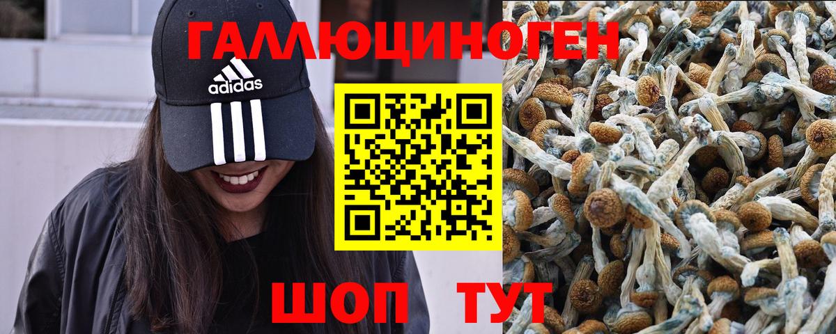Псилоцибиновые грибы мицелий Апрелевка