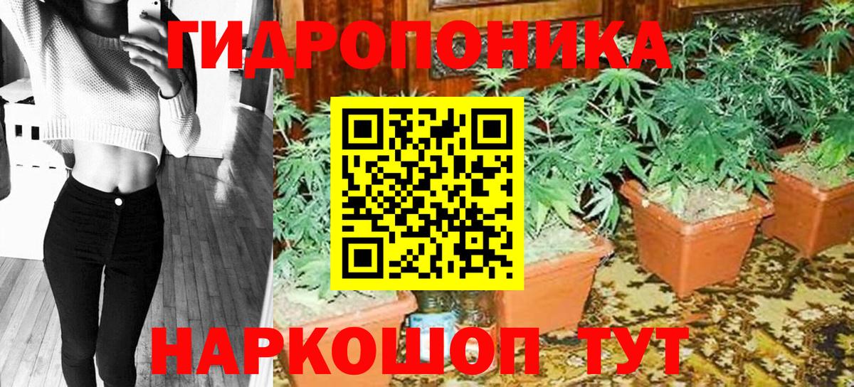 Канабис White Widow Апрелевка